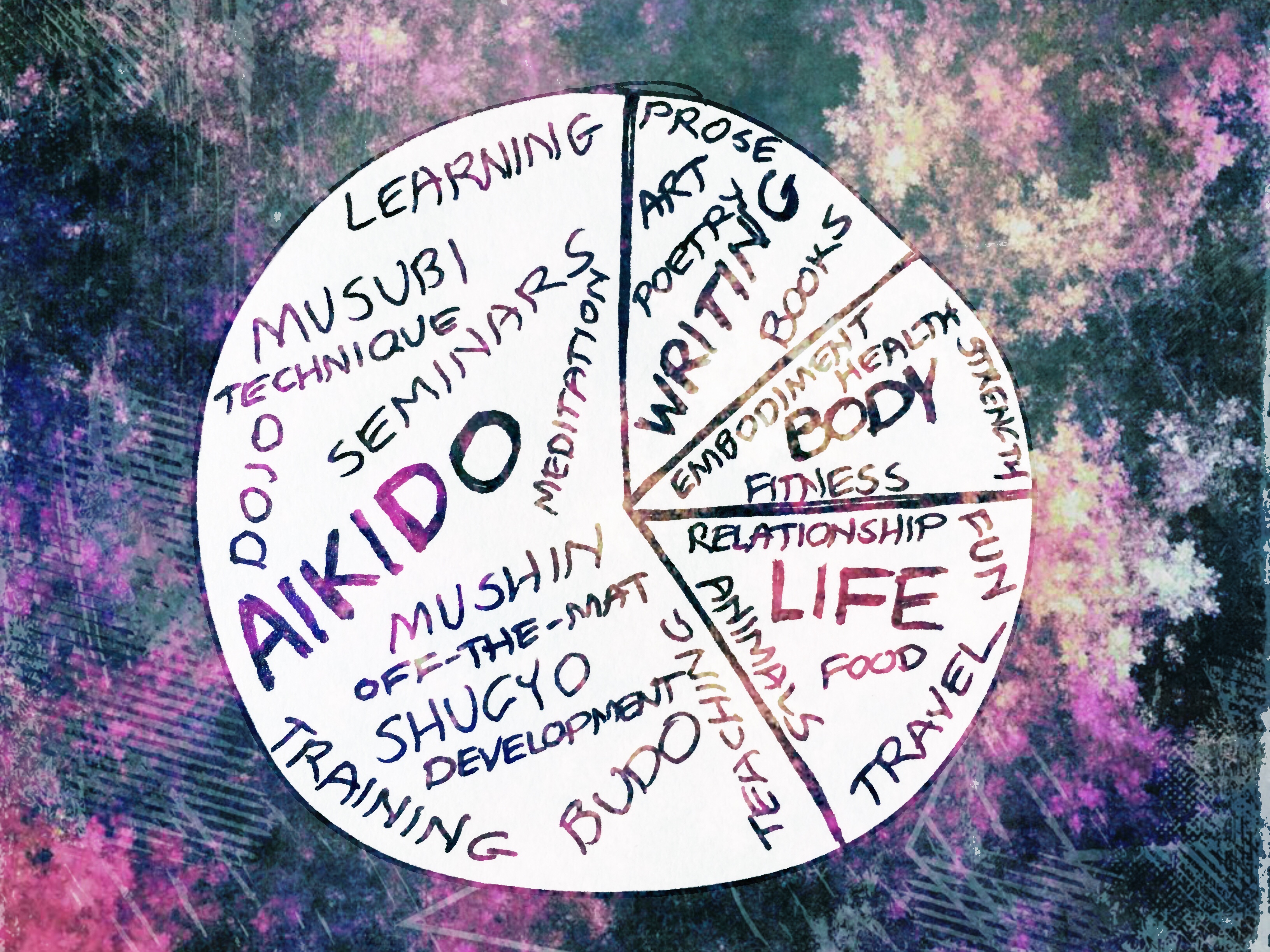 Blog Topic Pie Chart - Aikido, Writing, Body, and Life