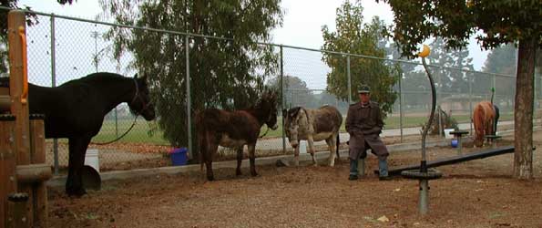 Evacuated - At the Boys' & Girls' Club - Cedar Fire 2003