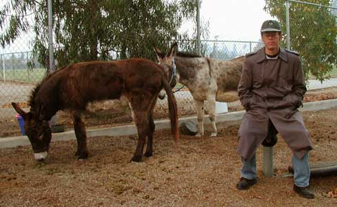 Michael with Eeyore & Clementine at the Boys' & Girls' Club - Cedar Fire 2003