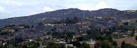 Shadow Mountain after the Cedar Fire in 2003