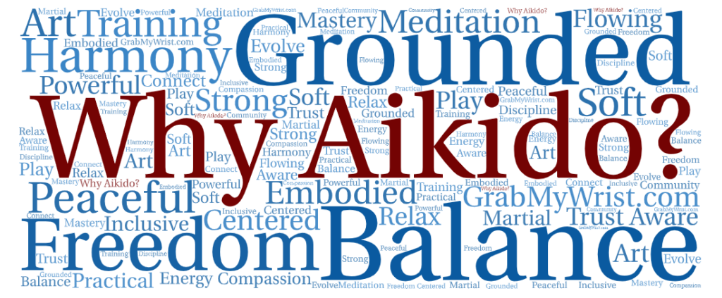 Why Aikido - Word Cloud