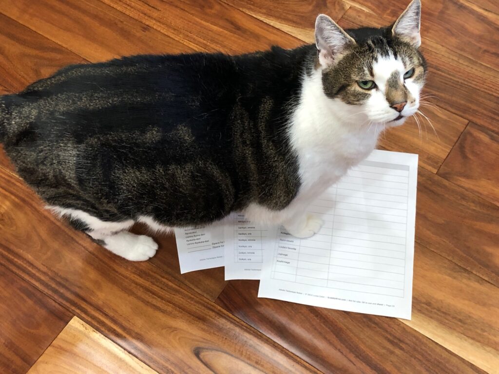 Charlie, our fat cat, standing on the pages I was trying to photograph for this post.