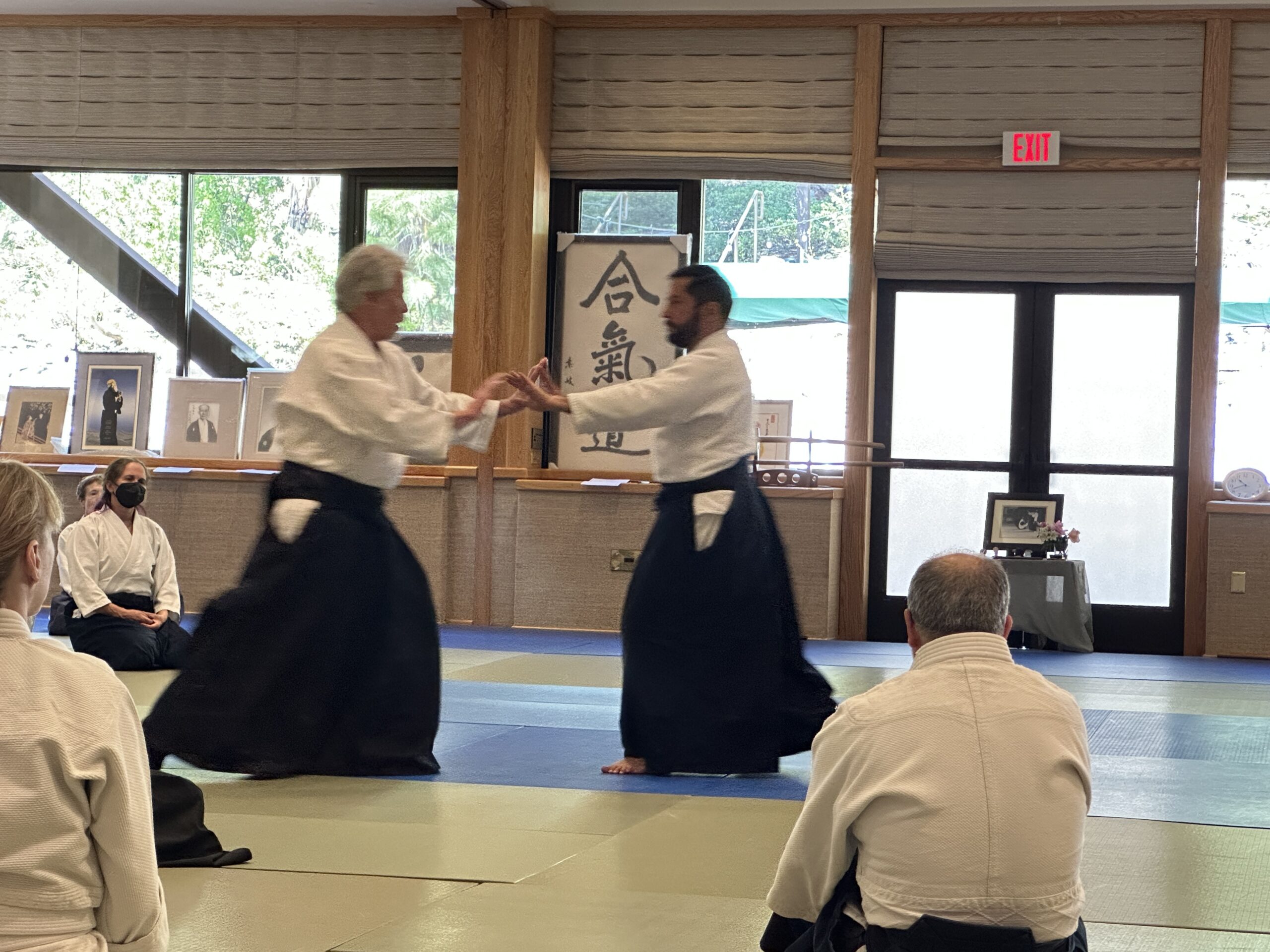 An instructor demonstrating a technique with a senior student at a seminar