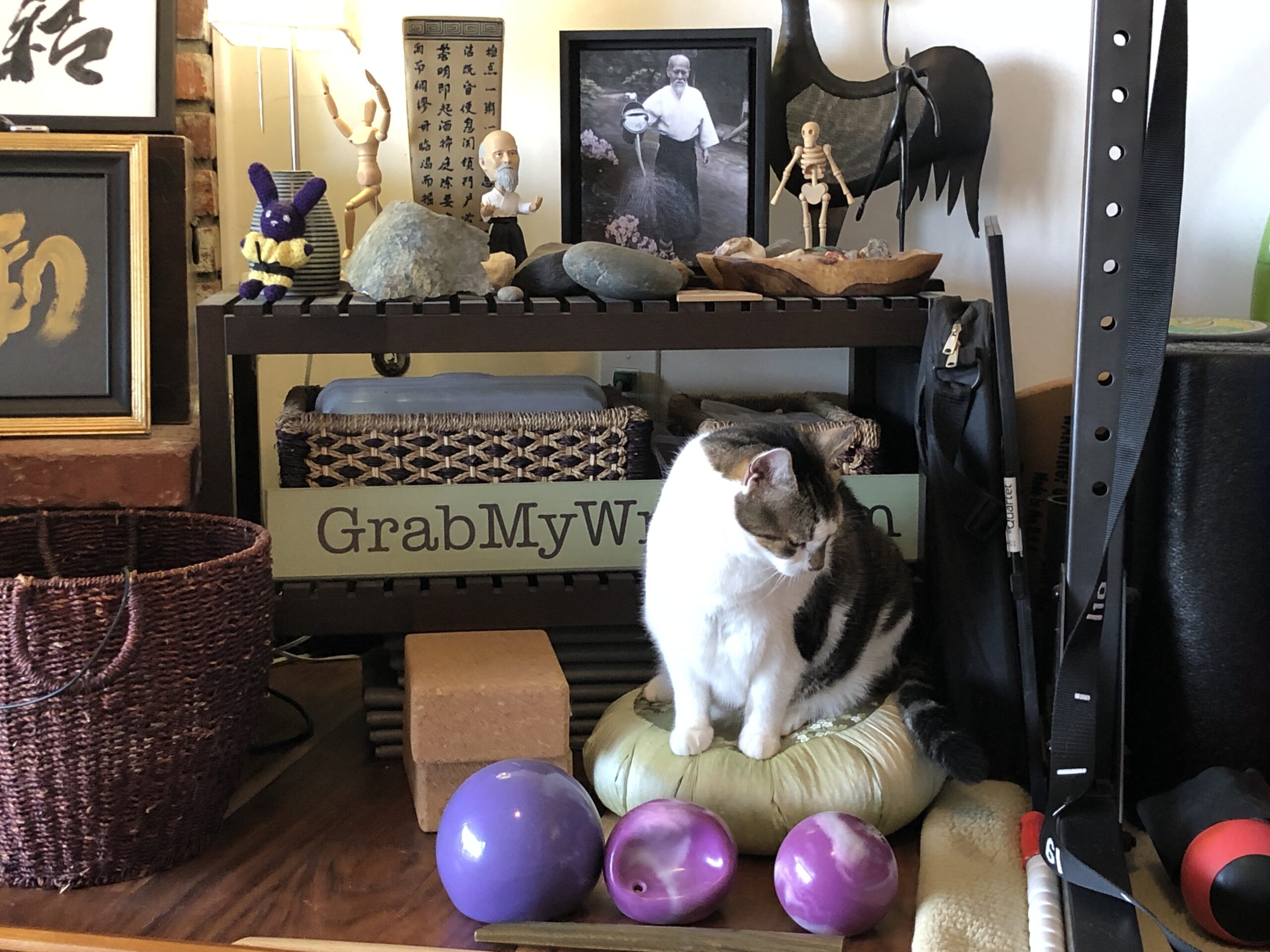 Photo of my home shomen, with a picture of O Sensei watering plants in the garden. Charlie kitty, the chonk, in the foreground, sitting on a zafu.